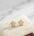 Twinkle Star Zircon Stud Earrings